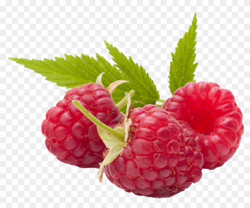 Detail Raspberry Png Nomer 15