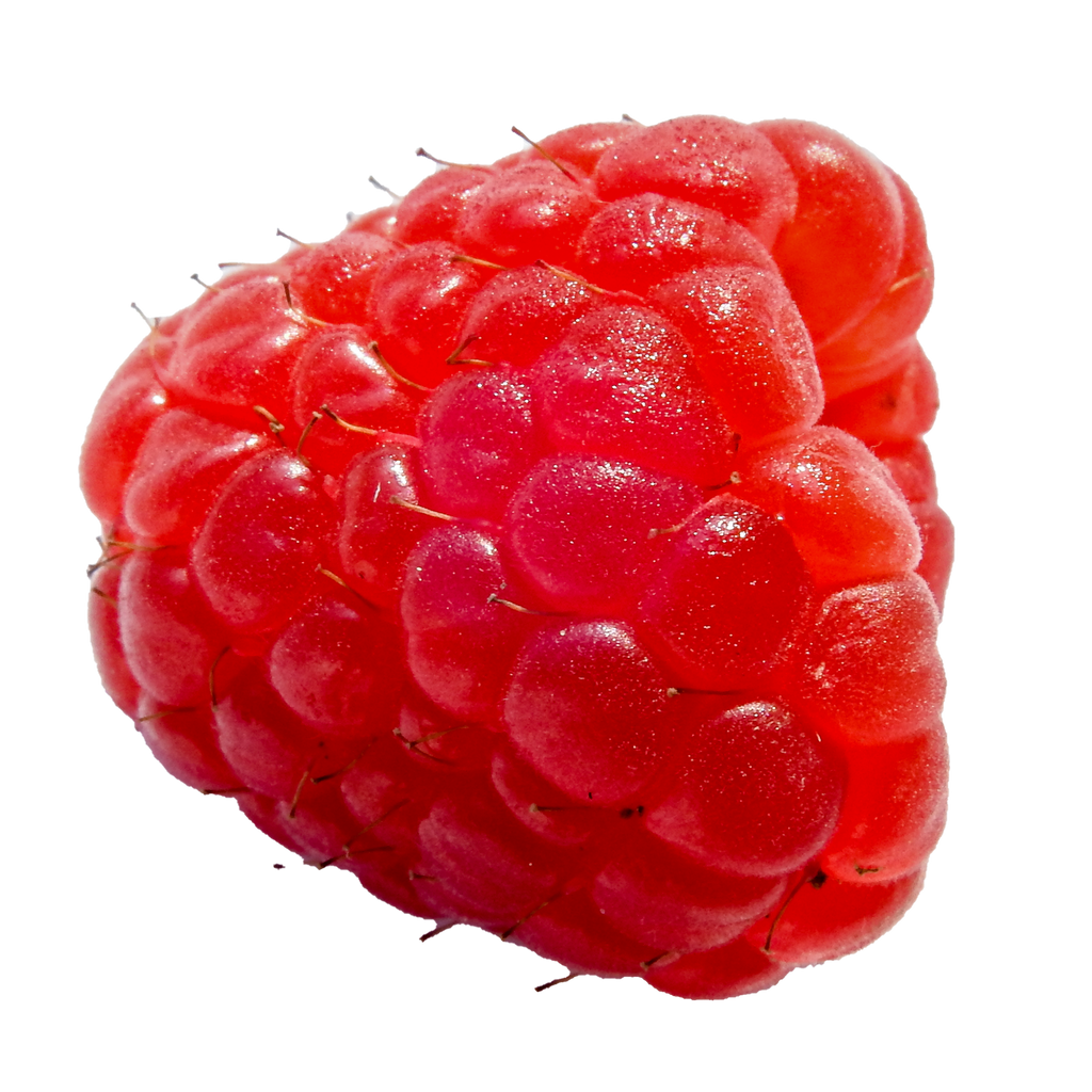 Detail Raspberry Png Nomer 16