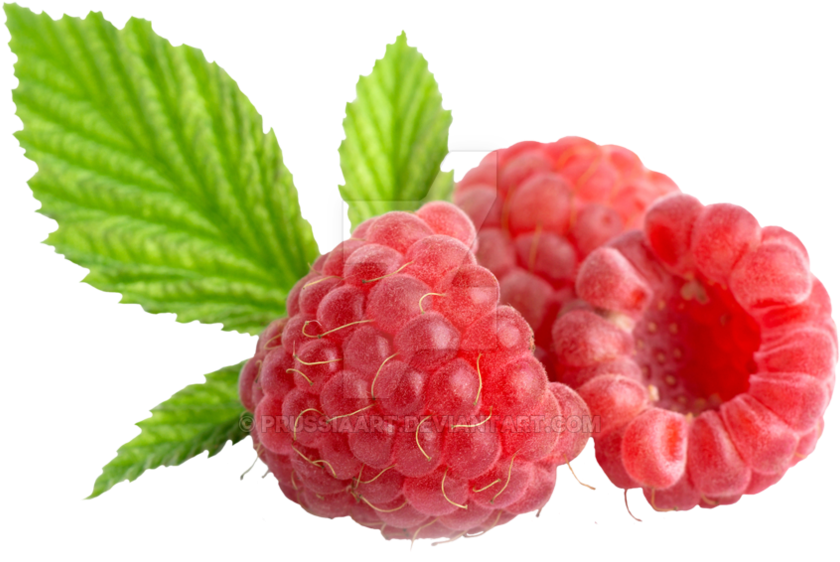 Detail Raspberry Png Nomer 17