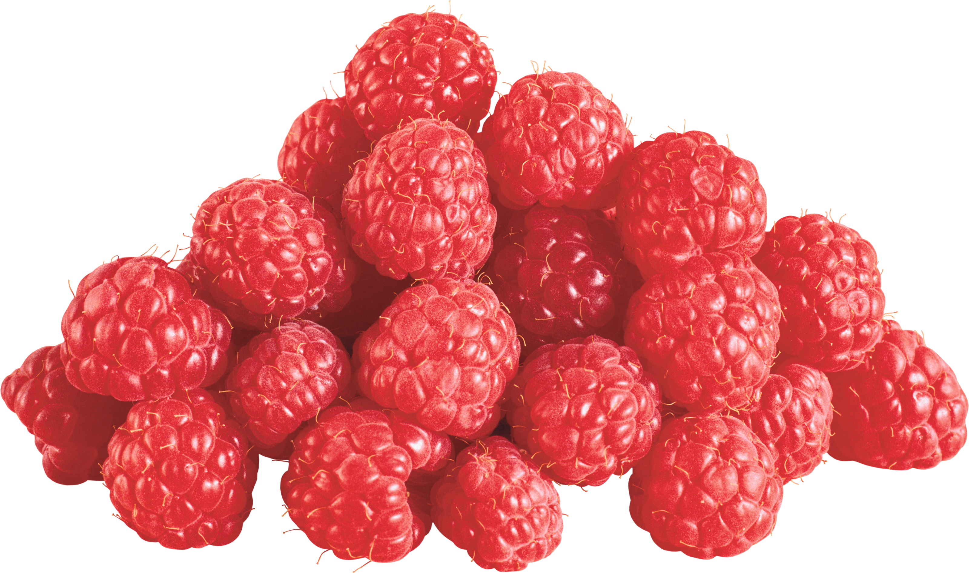 Detail Raspberry Png Nomer 19