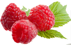 Detail Raspberry Png Nomer 21