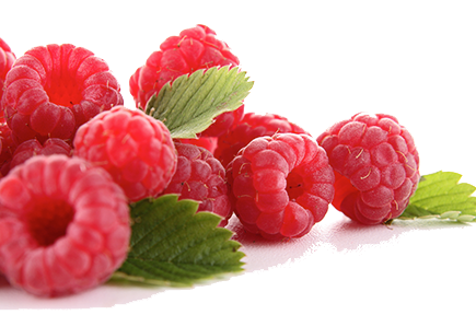 Detail Raspberry Png Nomer 26