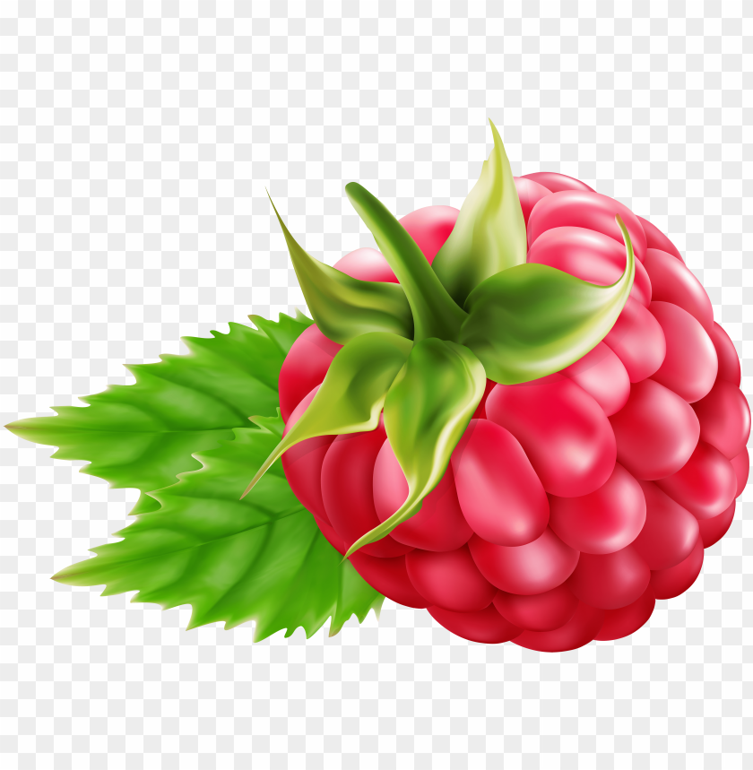 Detail Raspberry Png Nomer 33