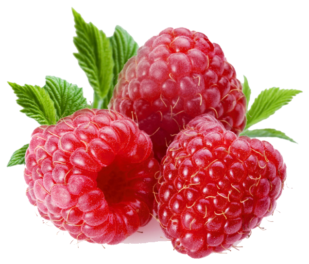 Detail Raspberry Png Nomer 5