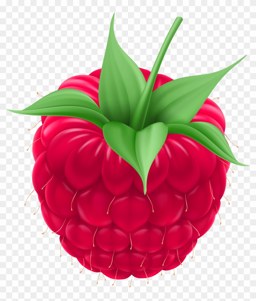 Detail Raspberry Png Nomer 49