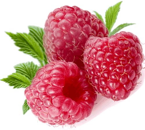 Detail Raspberry Png Nomer 8