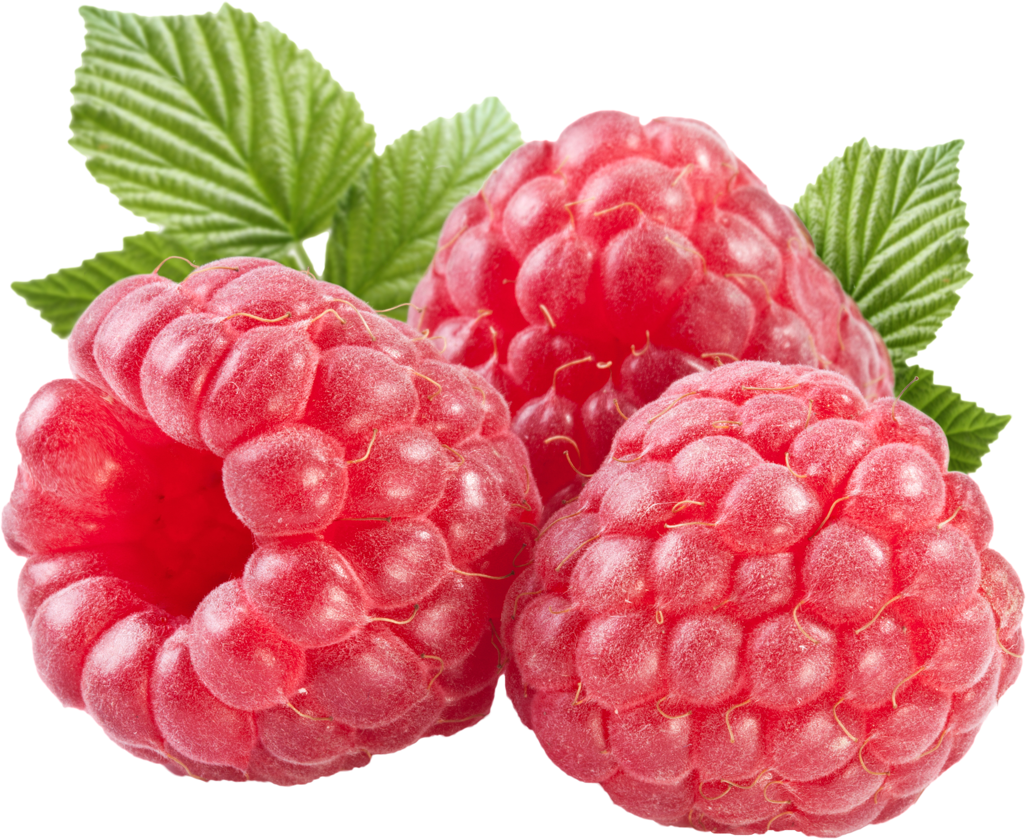 Detail Raspberry Png Nomer 9