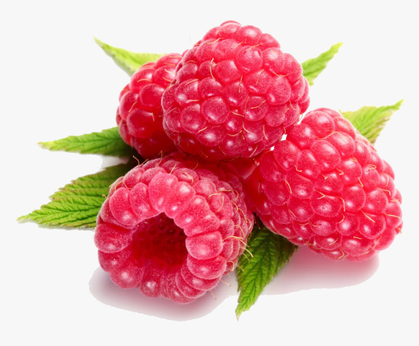 Raspberry Transparent Background - KibrisPDR