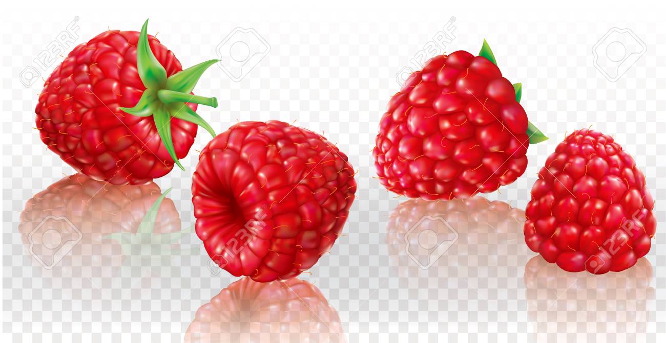 Detail Raspberry Transparent Background Nomer 10