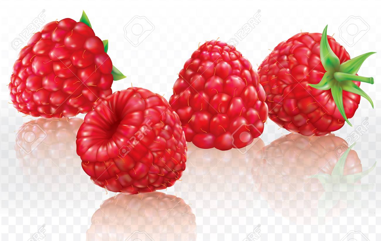 Detail Raspberry Transparent Background Nomer 12