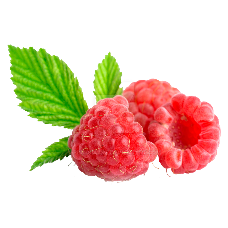 Detail Raspberry Transparent Background Nomer 14