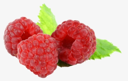 Detail Raspberry Transparent Background Nomer 18