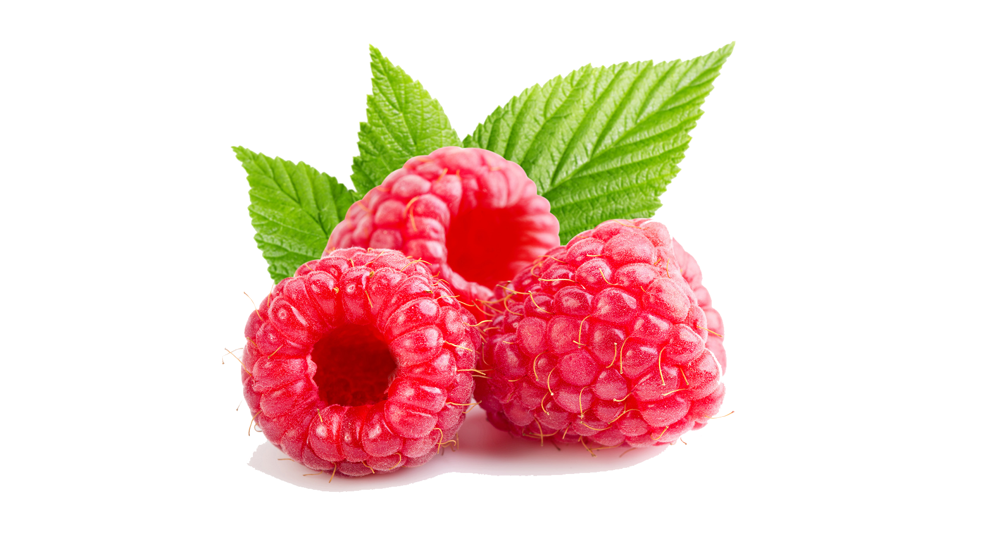 Detail Raspberry Transparent Background Nomer 19