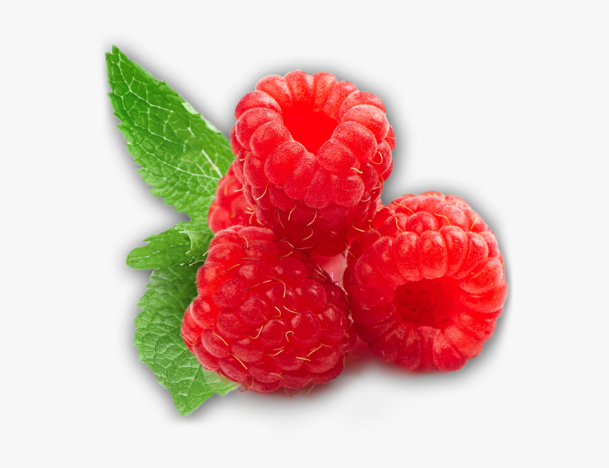 Detail Raspberry Transparent Background Nomer 20