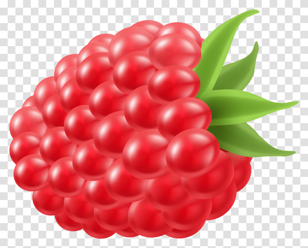 Detail Raspberry Transparent Background Nomer 22