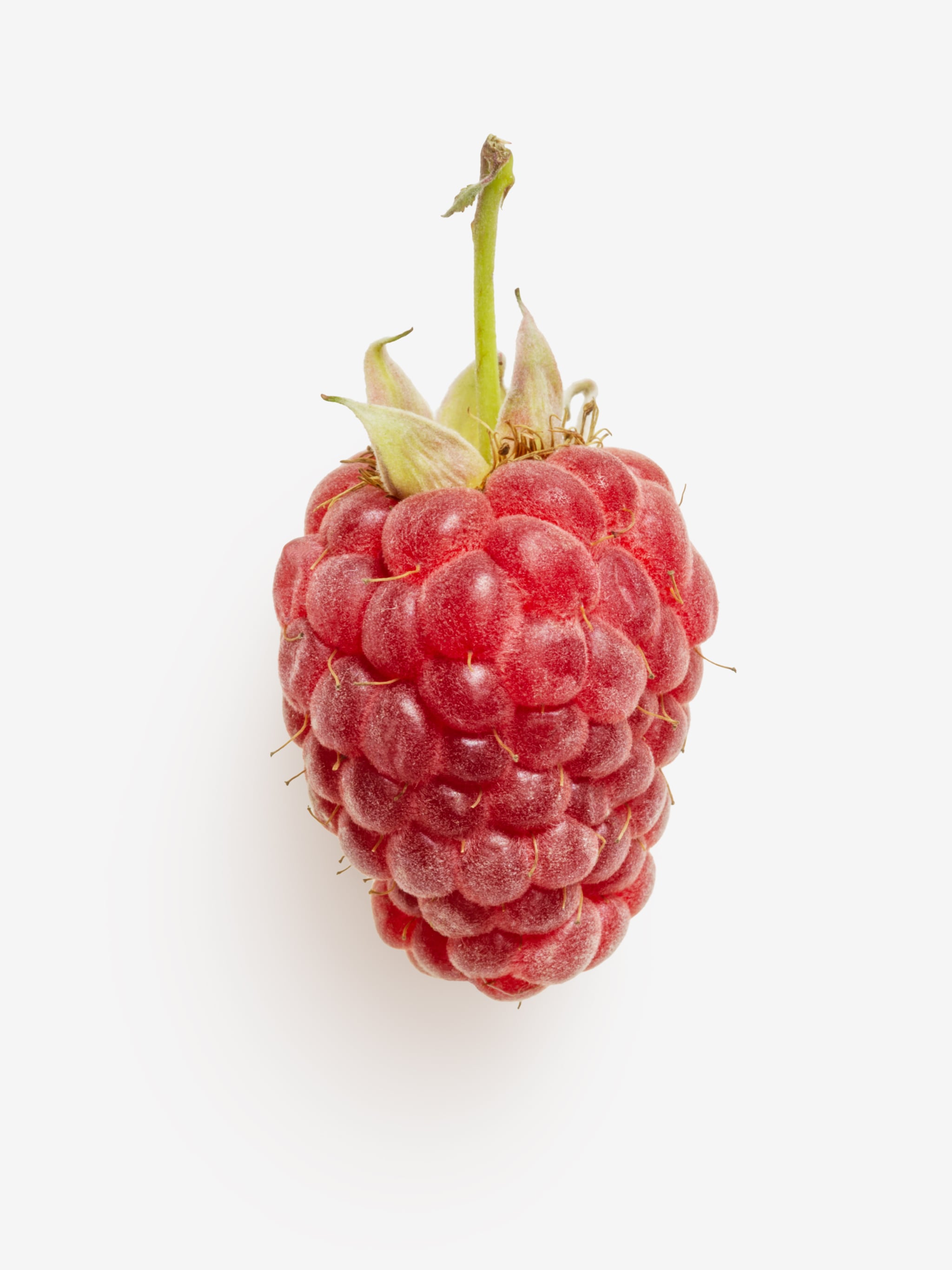 Detail Raspberry Transparent Background Nomer 23