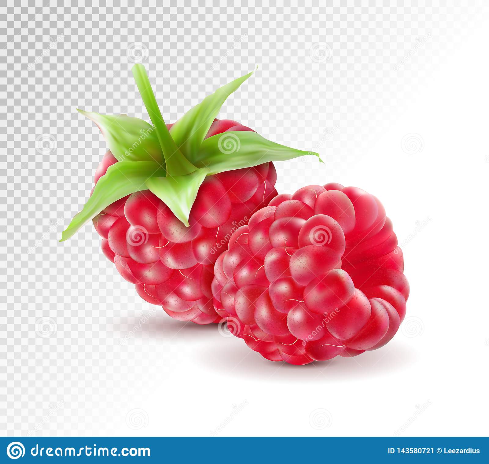 Detail Raspberry Transparent Background Nomer 25