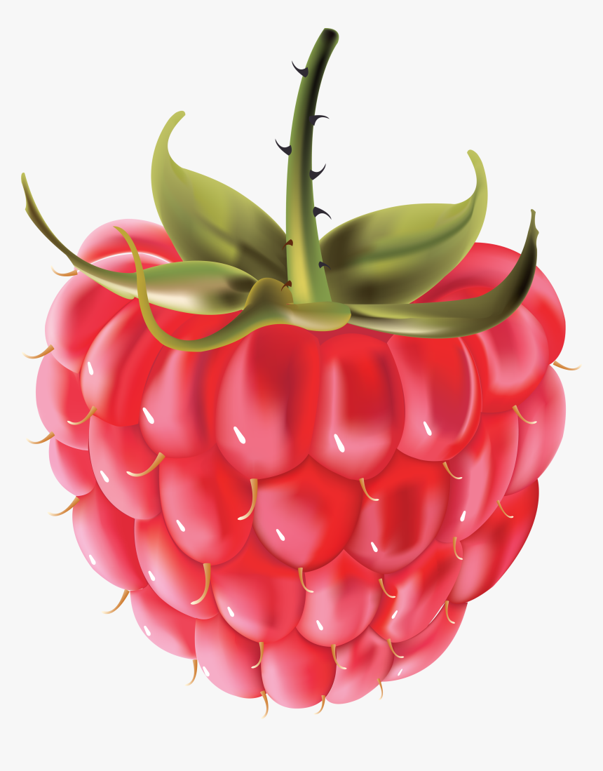 Detail Raspberry Transparent Background Nomer 27