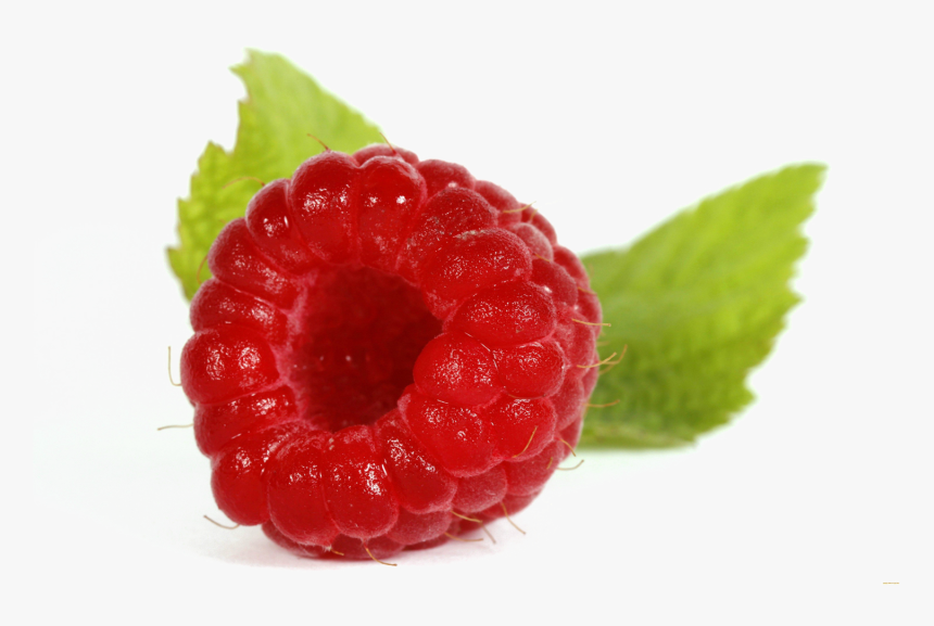 Detail Raspberry Transparent Background Nomer 33