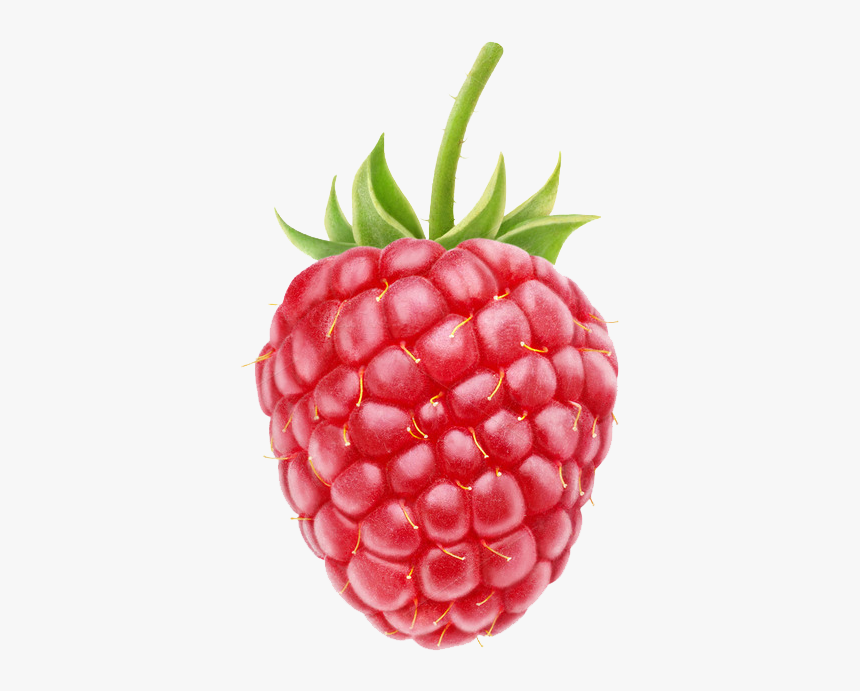 Detail Raspberry Transparent Background Nomer 5