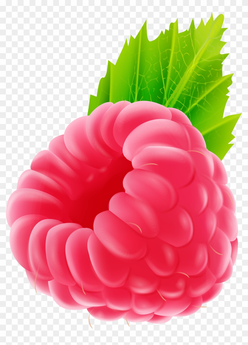 Detail Raspberry Transparent Background Nomer 41