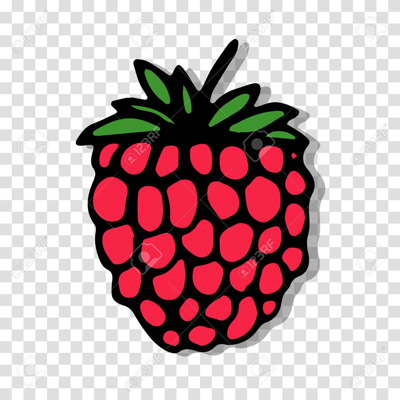 Detail Raspberry Transparent Background Nomer 42