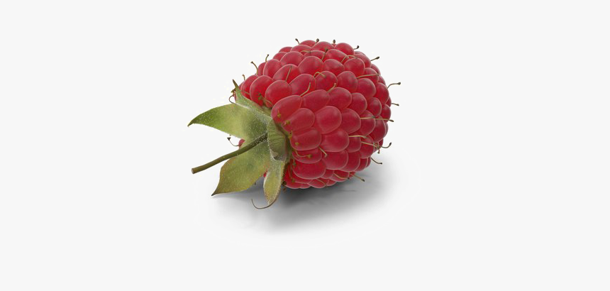 Detail Raspberry Transparent Background Nomer 43