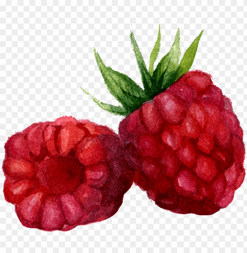 Detail Raspberry Transparent Background Nomer 48