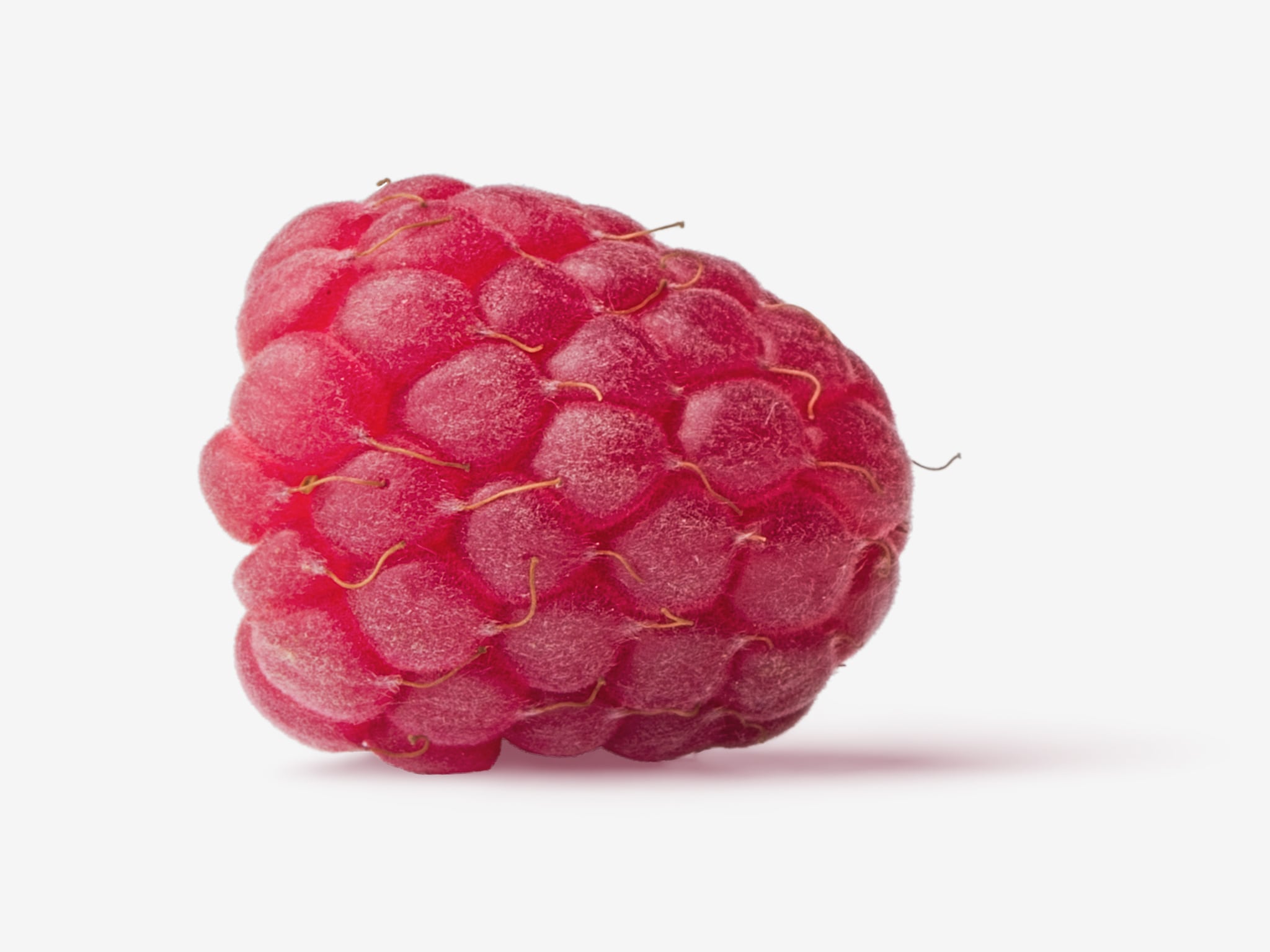 Detail Raspberry Transparent Background Nomer 50