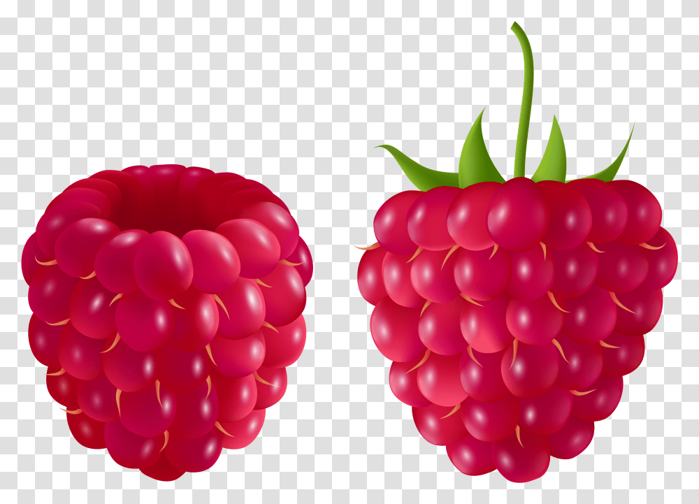 Detail Raspberry Transparent Background Nomer 52