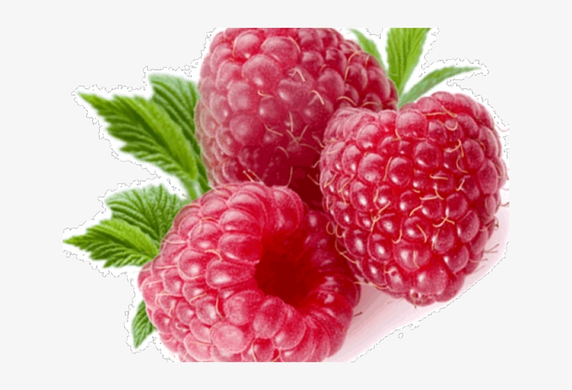 Detail Raspberry Transparent Background Nomer 7