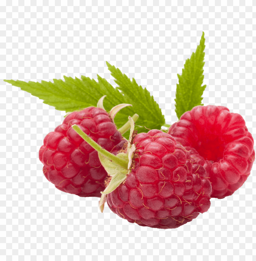 Detail Raspberry Transparent Background Nomer 9