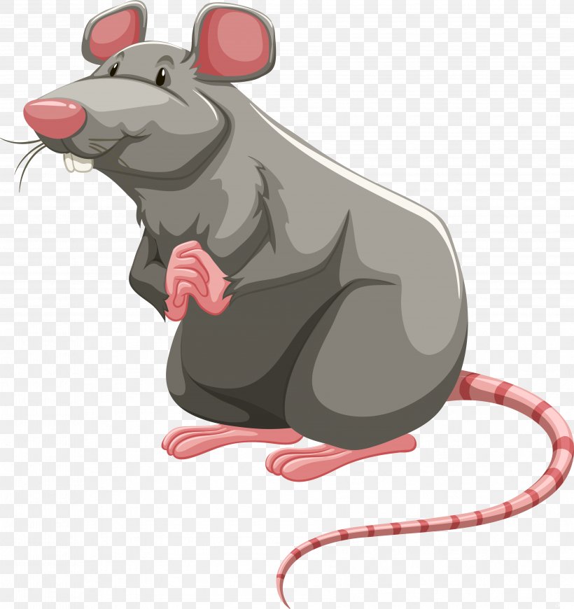 Detail Rat Clip Art Nomer 10