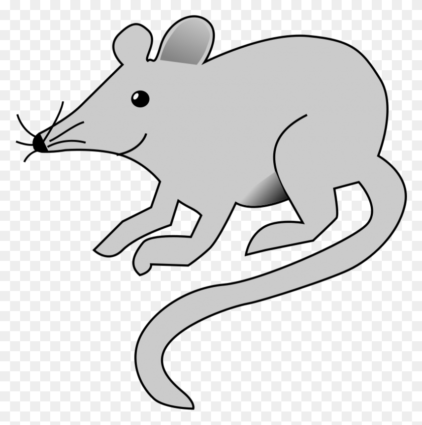 Detail Rat Clip Art Nomer 20