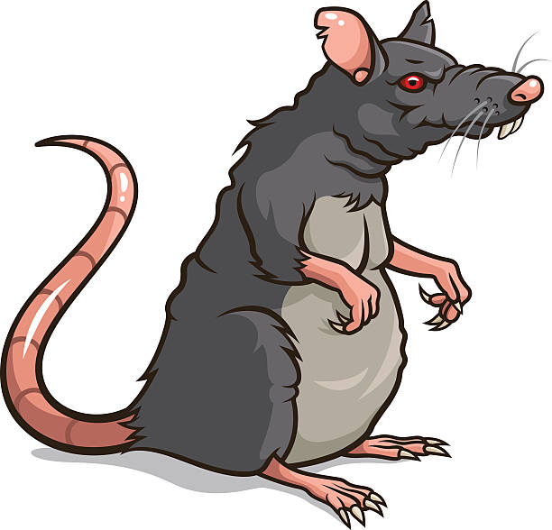 Detail Rat Clip Art Nomer 4