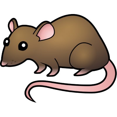 Detail Rat Clip Art Nomer 5