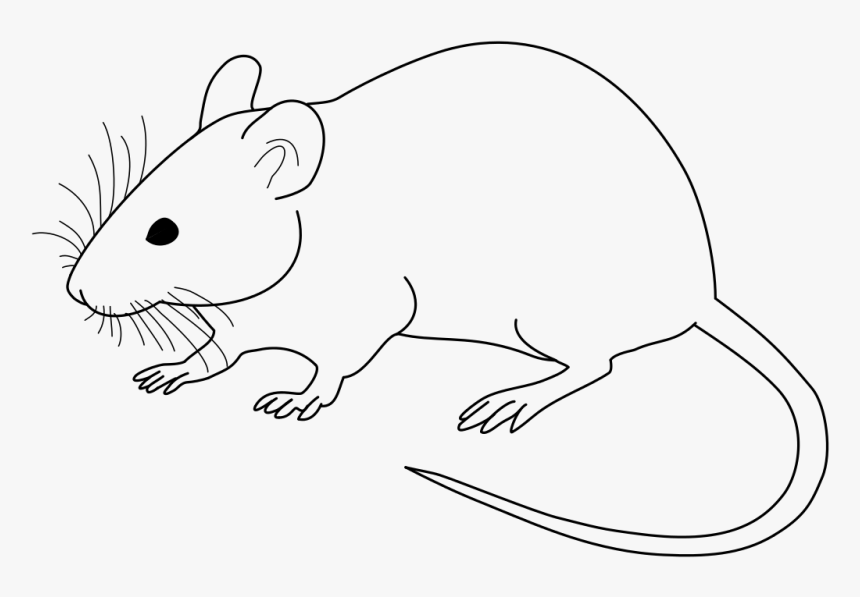 Detail Rat Clipart Png Nomer 12