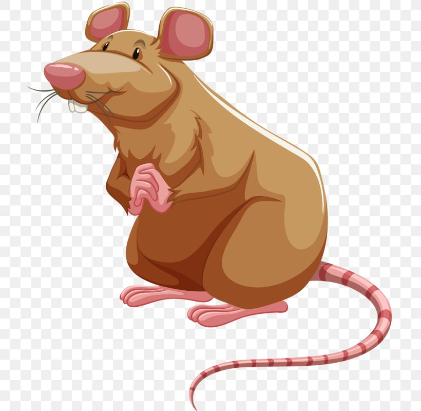 Detail Rat Clipart Png Nomer 45