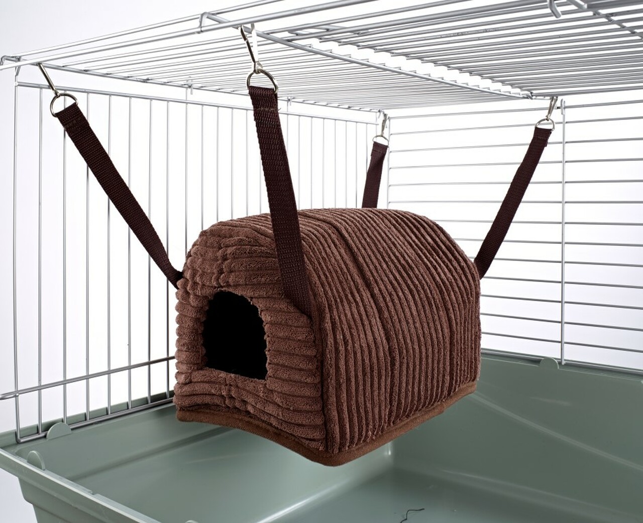 Detail Rat Igloo Nomer 14