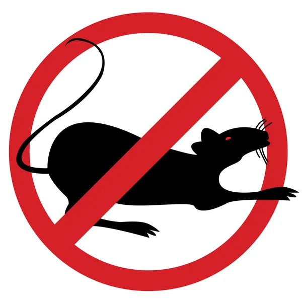 Detail Rat Images Free Nomer 29