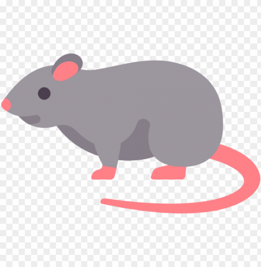 Detail Rat Transparent Nomer 40