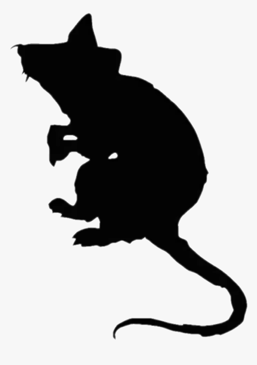 Detail Rat Transparent Background Nomer 25