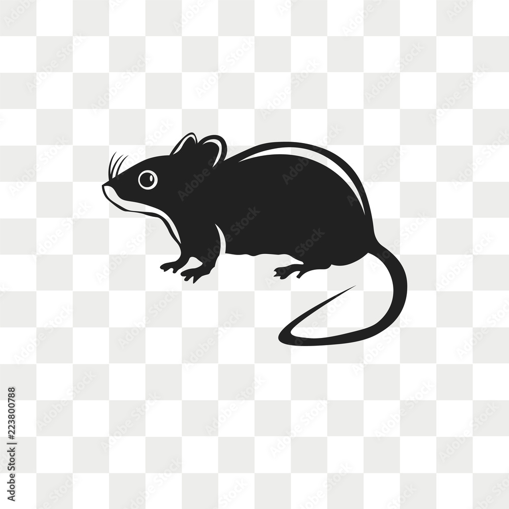 Detail Rat Transparent Background Nomer 55