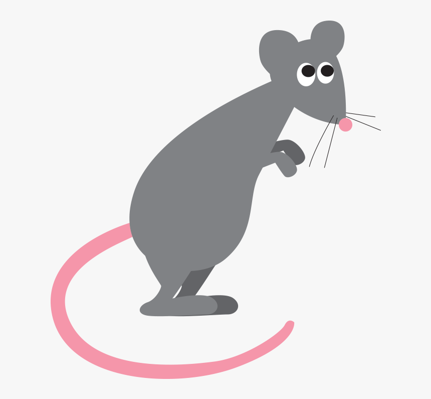 Detail Rat Transparent Png Nomer 33