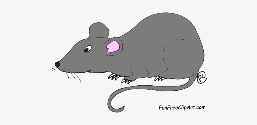 Detail Rat Transparent Png Nomer 41
