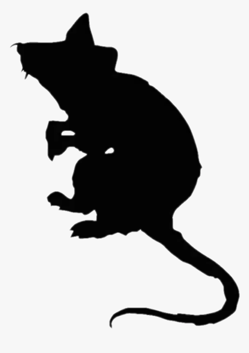 Detail Rat Transparent Png Nomer 47