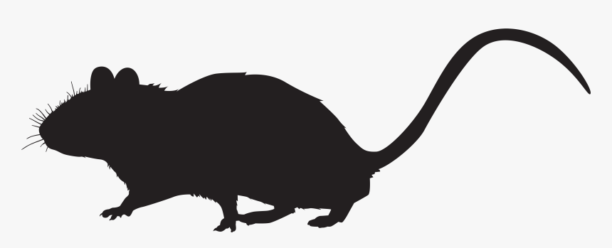 Detail Rat Transparent Png Nomer 50