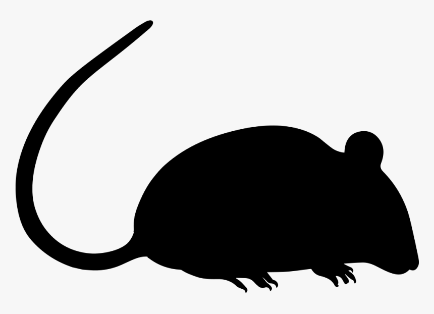 Rat Vector Png - KibrisPDR