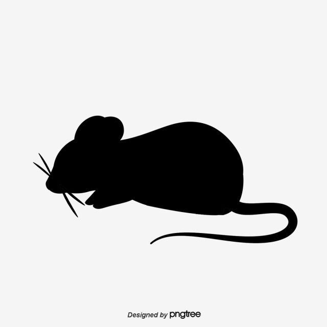 Detail Rat Vector Png Nomer 11