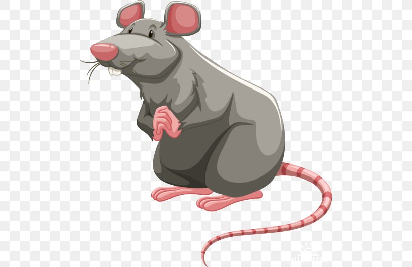 Detail Rat Vector Png Nomer 3